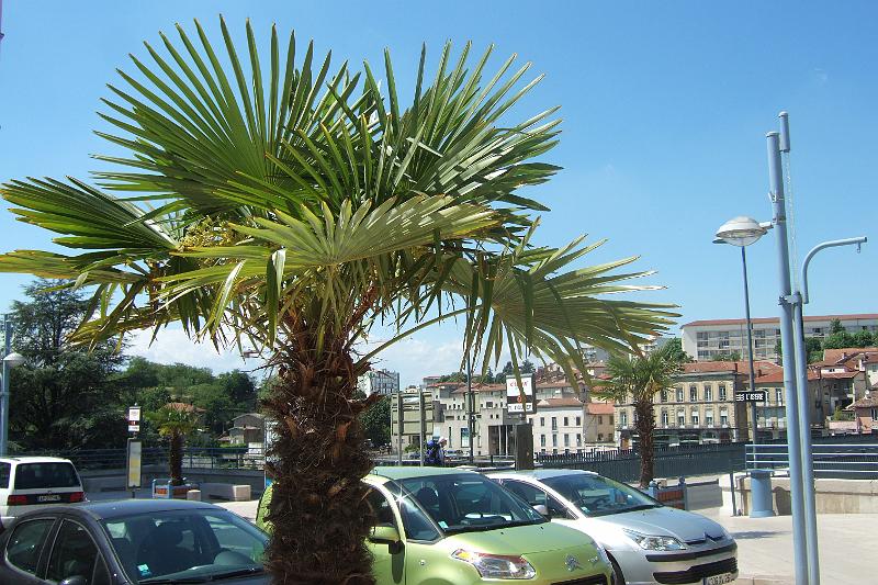 2011-05- (1232).JPG
